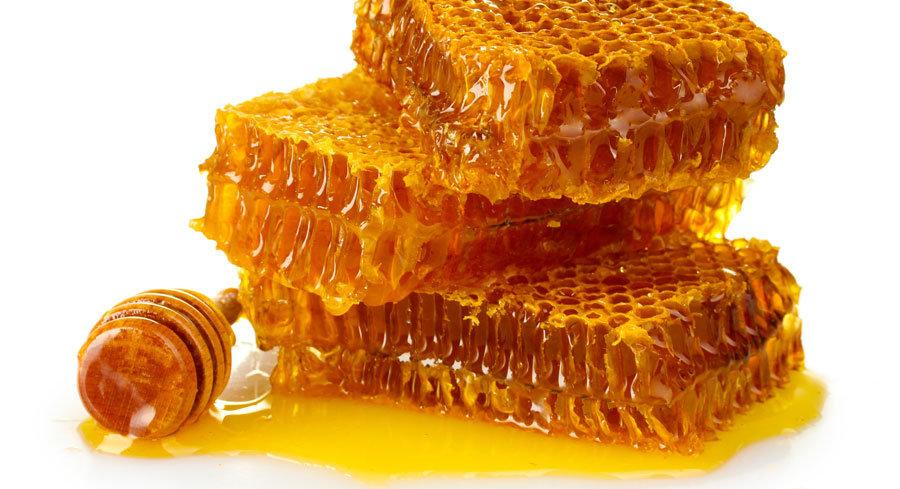 عسل دشمن بالفطره ی قارچ هاست