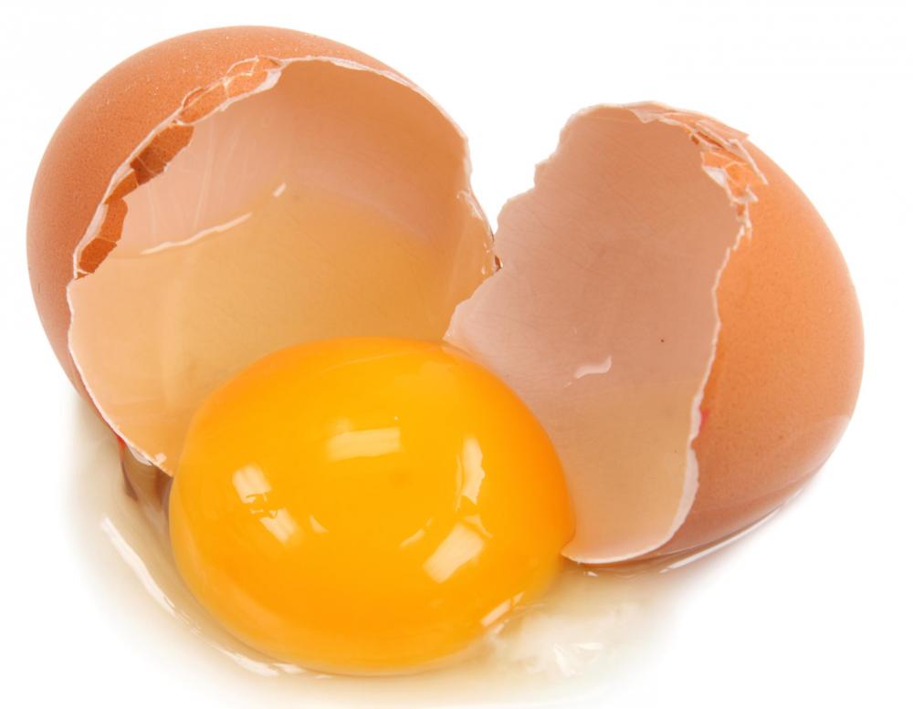 نتیجه تصویری برای تخم مرغ