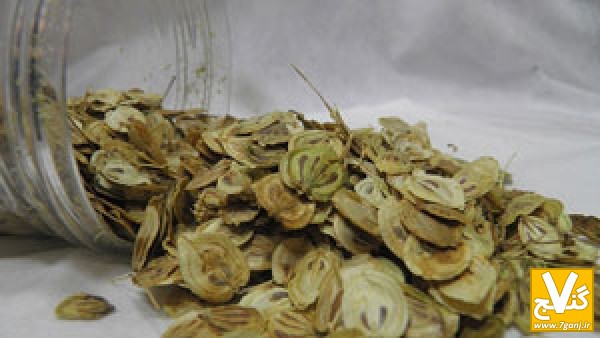 1364936595263846_529