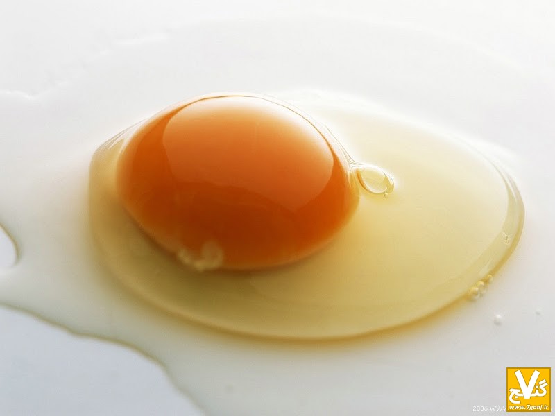 culinary_best_quality_wallpapers_-_fried_egg