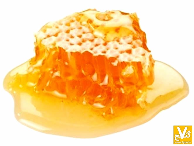 local-raw-honey-from-florida