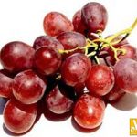 انگور باعث افزايش فشار خون و سر درد ميشود !