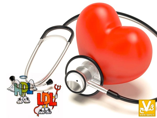 كلسترول  خون- www.7ganj.ir