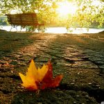 دانلود گلچيني از زيباترين تصاوير پس زمينه عريض از طبيعت _ سري 2