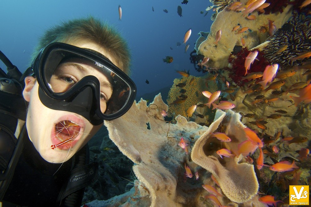 14-7-18-20101900017943_big