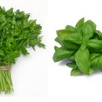 خانم هاي باردار در مصرف اين سبزيجات احتياط كنند !