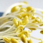 آشنايي با طرز تهيه، شيوه مصرف و فوايد انواع جوانه ها