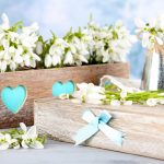 زيباترين تصاوير پس زمينه از گل و طبيعت براي دسكتاپ / سري 4