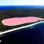 شگفتي هاي طبيعت: درياچه هايي به رنگ صورتي + تصاوير