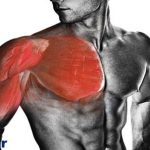 5 تمرين عالي براي تقويت عضلات سينه