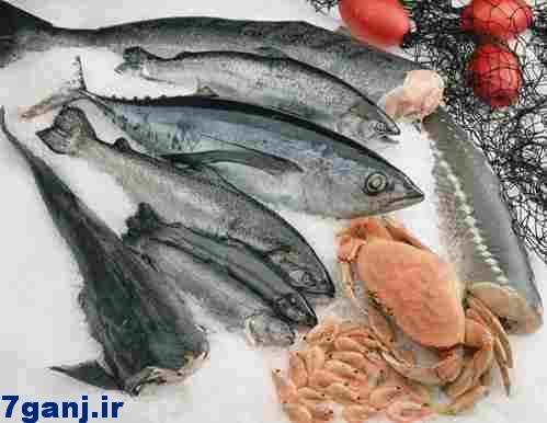 ماهي و ميگو