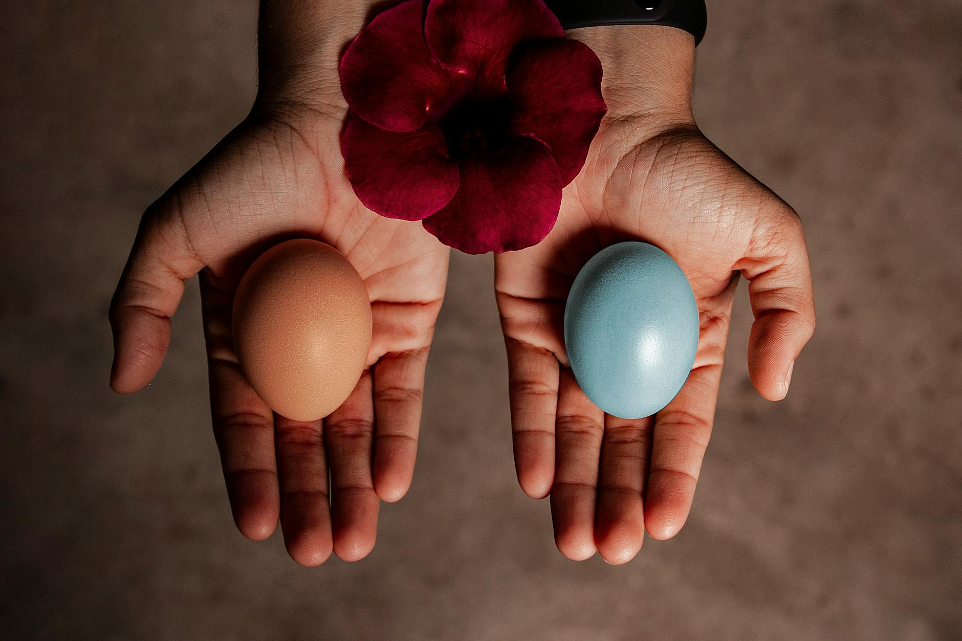 استفاده از تخم بلدرچین برای سلامت پوست و مو