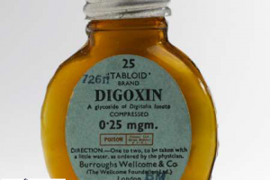 داروی گیاهی دیگوکسین