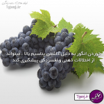 استاتوس های آموزنده درباره سلامت و ترفندهای ساده زندگی/سری دوم