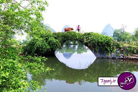 تصاويري از روستاي روستای یانگ شو در  چين