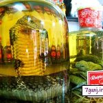 عجيب ترين غذاهاي دنيا !!! + تصاوير