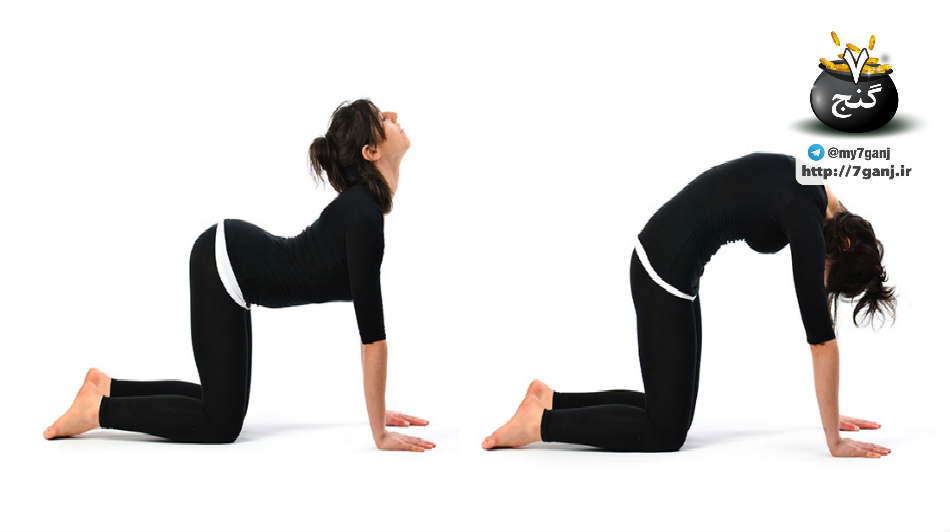 8 حرکت یوگا برای قسمت های فوقانی پشت