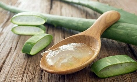 خواص آلوئه ورا و چگونه گی استفاده از آن