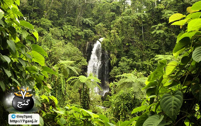 آبشارهای تاوورو در فیجی