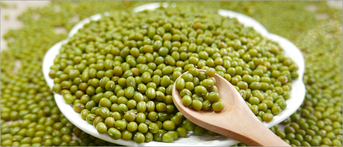 خاصیت جوانه ماش