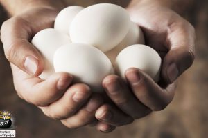 حساسیت به تخم مرغ