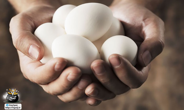 حساسیت به تخم مرغ