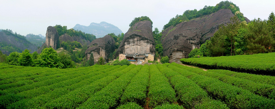 کوهستان وویی، Wuyi
