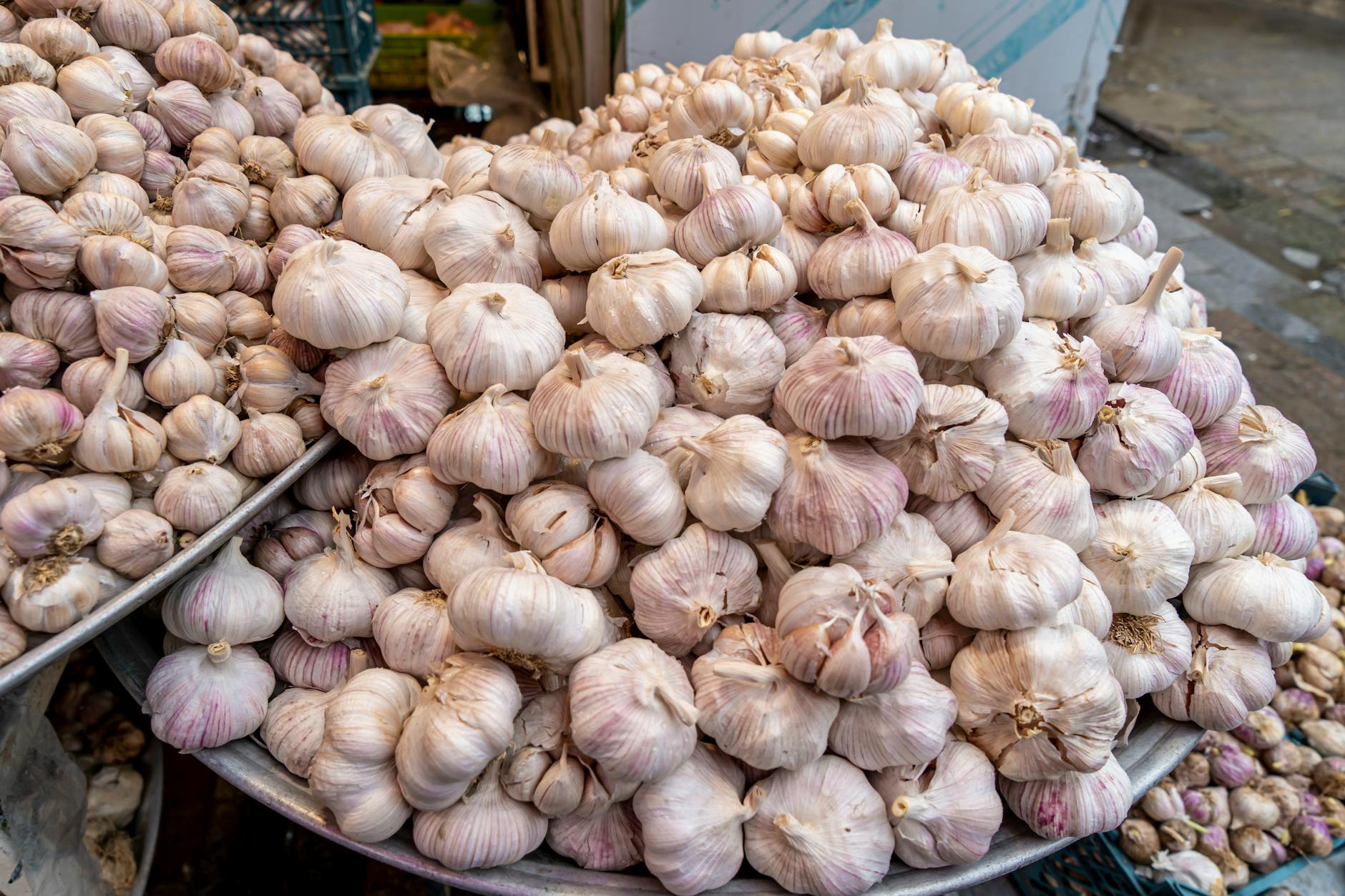 سیر سبز چیست و چه تفاوتی با سیر خشک دارد؟ بررسی کامل خواص، مضرات و نحوه مصرف - fresh green garlic
