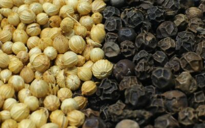 Detailed view of black pepper and coriander seeds showcasing texture contrast.