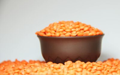 A focused image of a bowl filled with vibrant red lentils against a plain background.