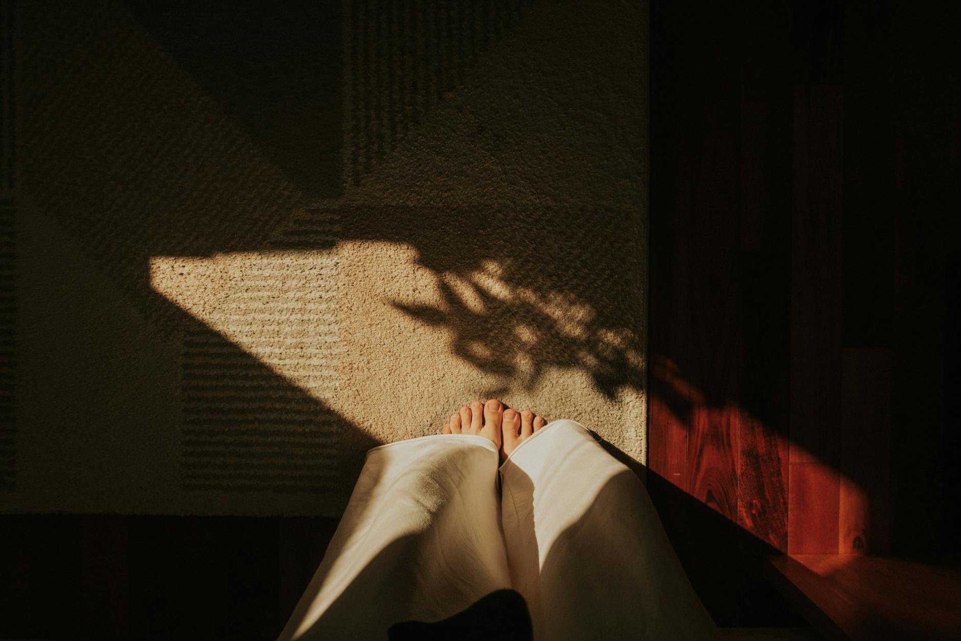 اثر نور طبیعی بر خلقوخو؛ چگونه خانه و محل کار را انرژیبخشتر کنیم؟ - morning sunlight window lifestyle