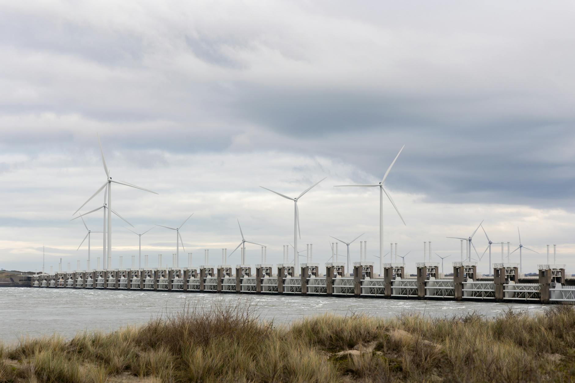 خواص سمنو؛ از افزایش انرژی تا کمک به کم‌خونی و سلامت روده - natural energy food