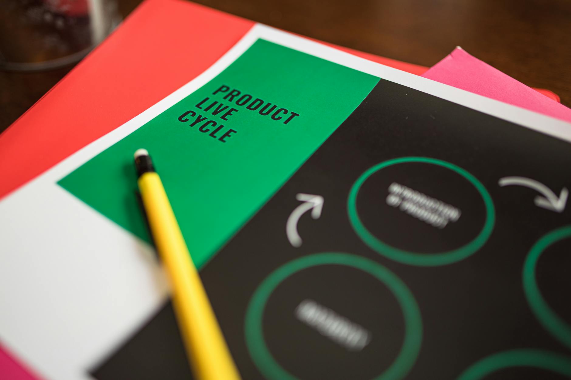 چرا هر آنچه در مورد خواب میدانید اشتباه است؟ درسهای خلاف شهود از یک متخصص خواب - sleep cycle diagram illustration