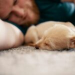 آیا حیوانات خانگی خواب می‌بینند؟ بررسی علمی خواب در سگ و گربه
