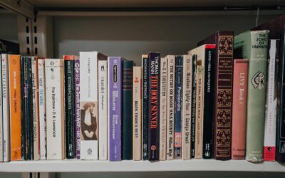 A diverse collection of classic literary books on a shelf, ideal for libraries and reading enthusiasts.