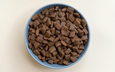 Aerial view of dry brown dog kibble in a pastel blue bowl against a beige backdrop, perfect for pet food advertisements.