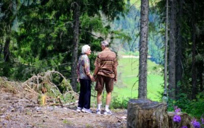An elderly couple holding hands strolls through a serene forest trail, enjoying nature.