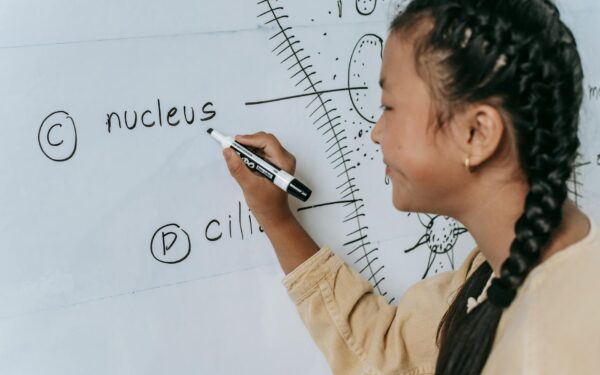 Side view of ethnic teenage writing words on whiteboard and studying biology in classroom