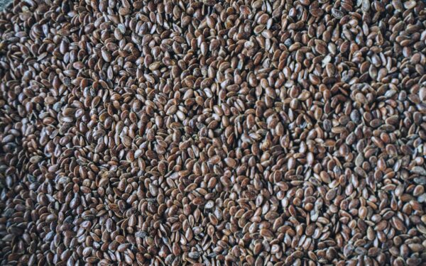 مضرات تخم کتان قهوه‌ای و طلایی و دوز مجاز مصرف روزانه