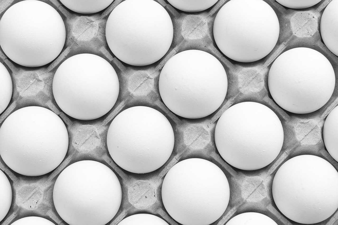بشقاب حاوی ماهی سالمون، تخم‌مرغ، سبزیجات و مغزها برای سلامت غدد