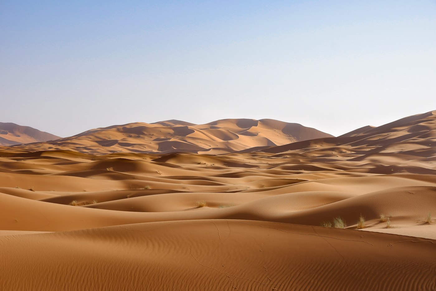 رمل‌های ماسه‌ای طلایی صحرای بزرگ آفریقا بزرگترین بیابان گرم جهان