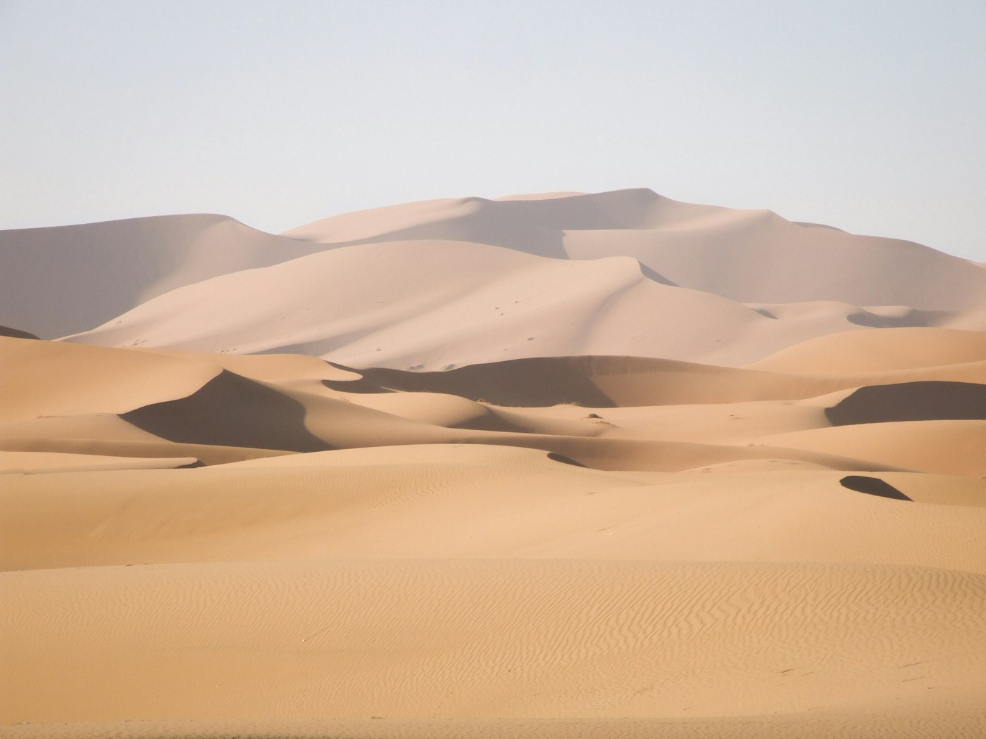 حرکت کاروان در افق بیابان در هنگام غروب خورشید