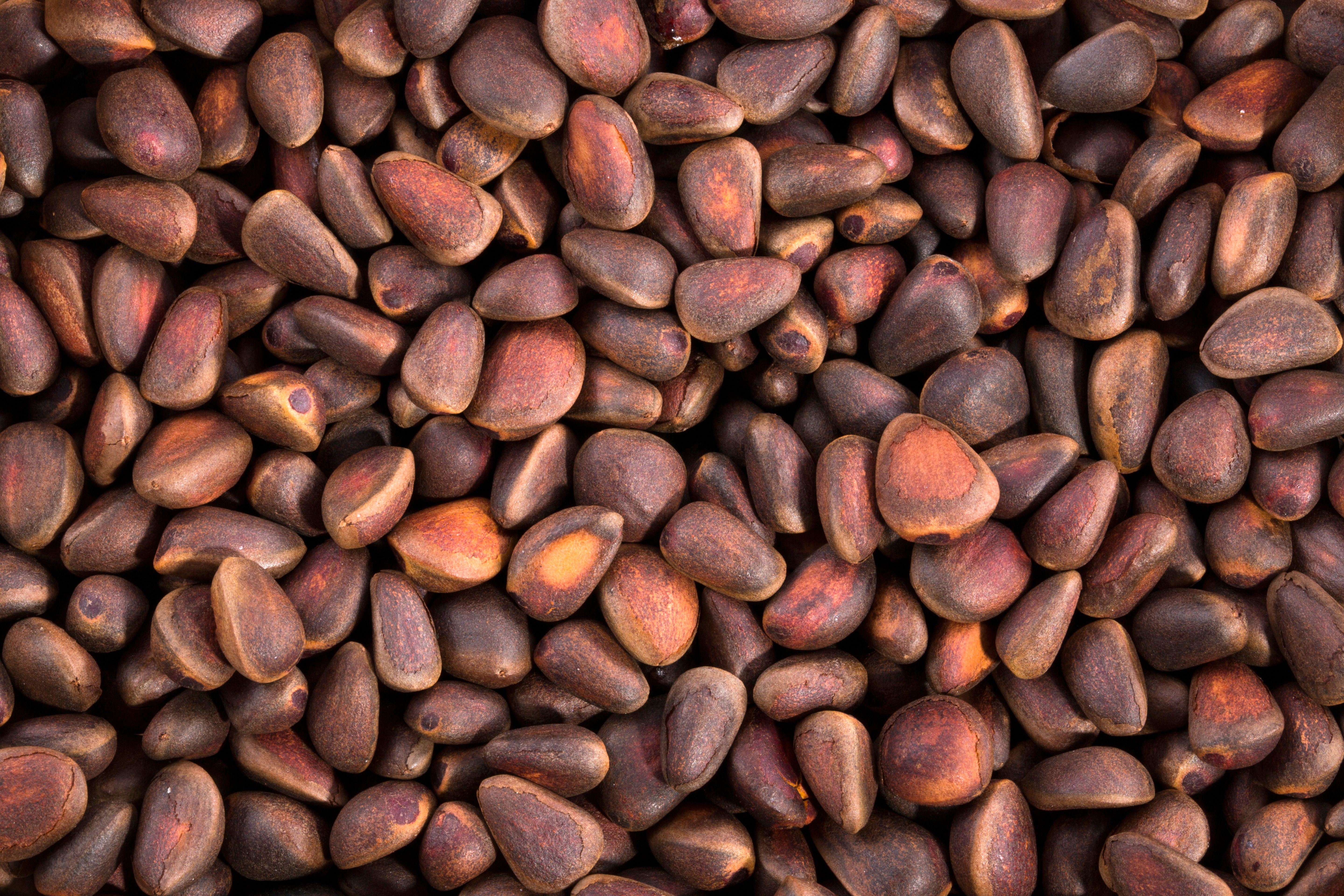 مواد غذایی طبیعی و سرشار از عنصر زینک برای جبران کمبود روی