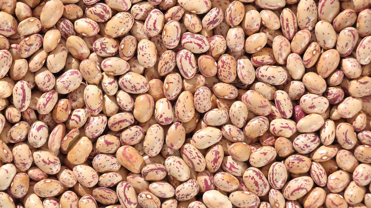 کاسه خوراک لوبیا چیتی سرو شده با روغن زیتون و سبزیجات